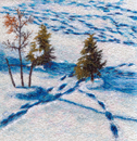 1087 "Blue Tracks on the Snow" 6"x6"