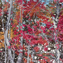 1000 "Autumn Colors" 24"x40"